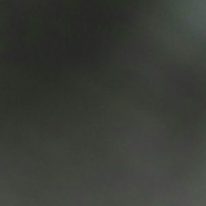 Meet your Posher, Kortney