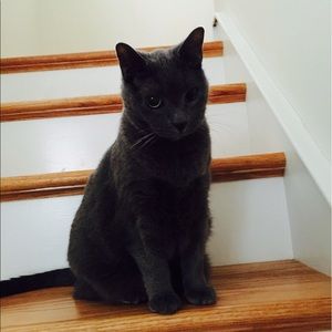 Meet your Posher, Hailey