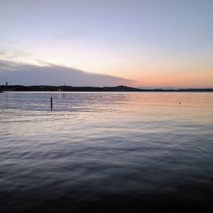 Meet your Posher, Travis