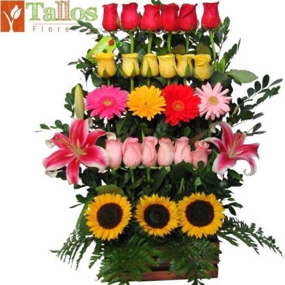 Meet your Posher, Rocio - Picture 1 of 1