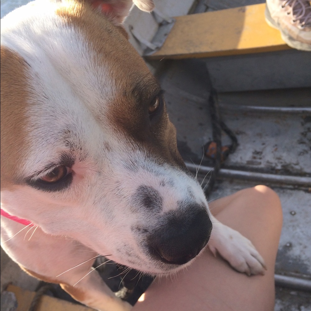 Meet your Posher, Bayleigh