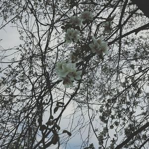 Meet your Posher, Autumn