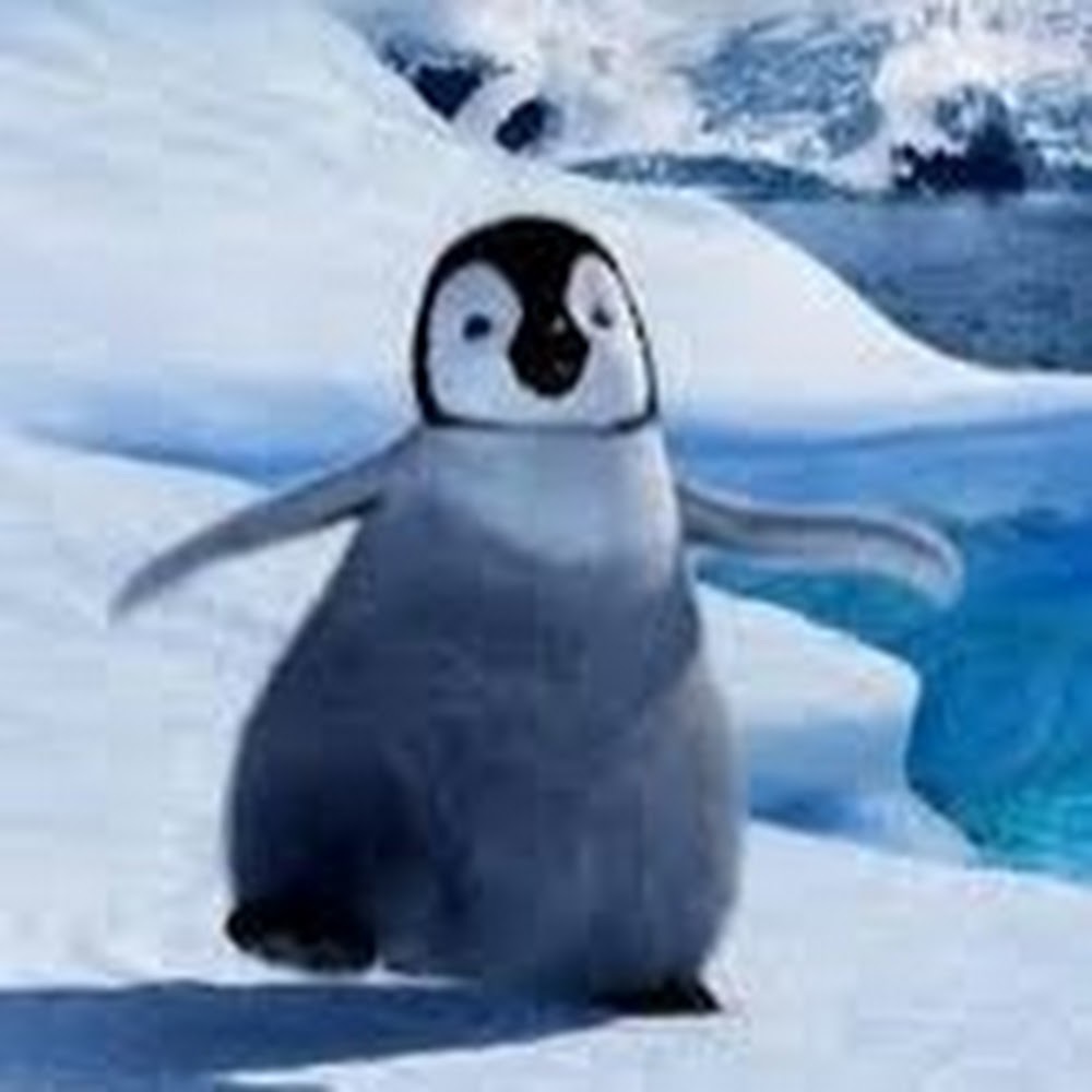 Meet your Posher, Chanie