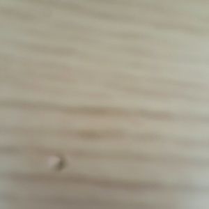 Meet your Posher, Sary