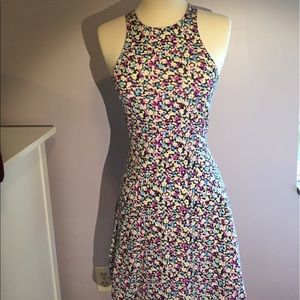 AEO floral skater dress