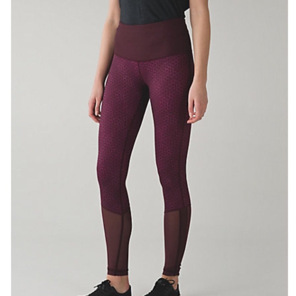 Sweaty Endeavor Tight Raspberry Bordeaux Drama