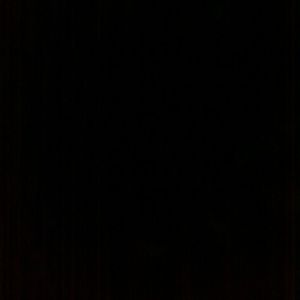 Meet your Posher, Lois