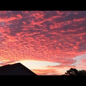 Meet your Posher, Norma