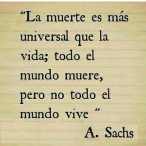 Meet your Posher, Lucy