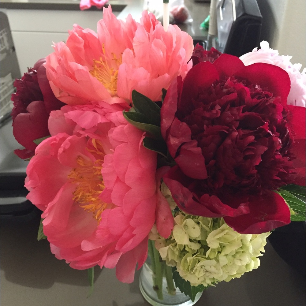 Meet your Posher, Marisa