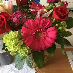 Meet your Posher, Maria luisa