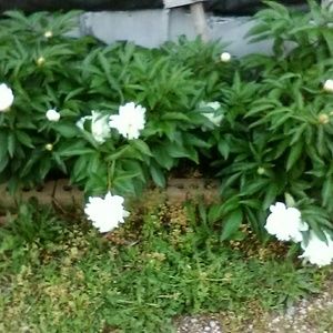 Meet your Posher, Esther