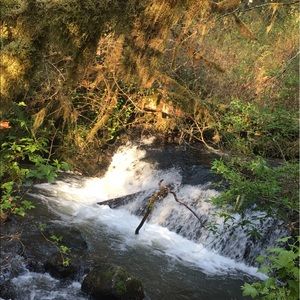 Meet your Posher, Sasha