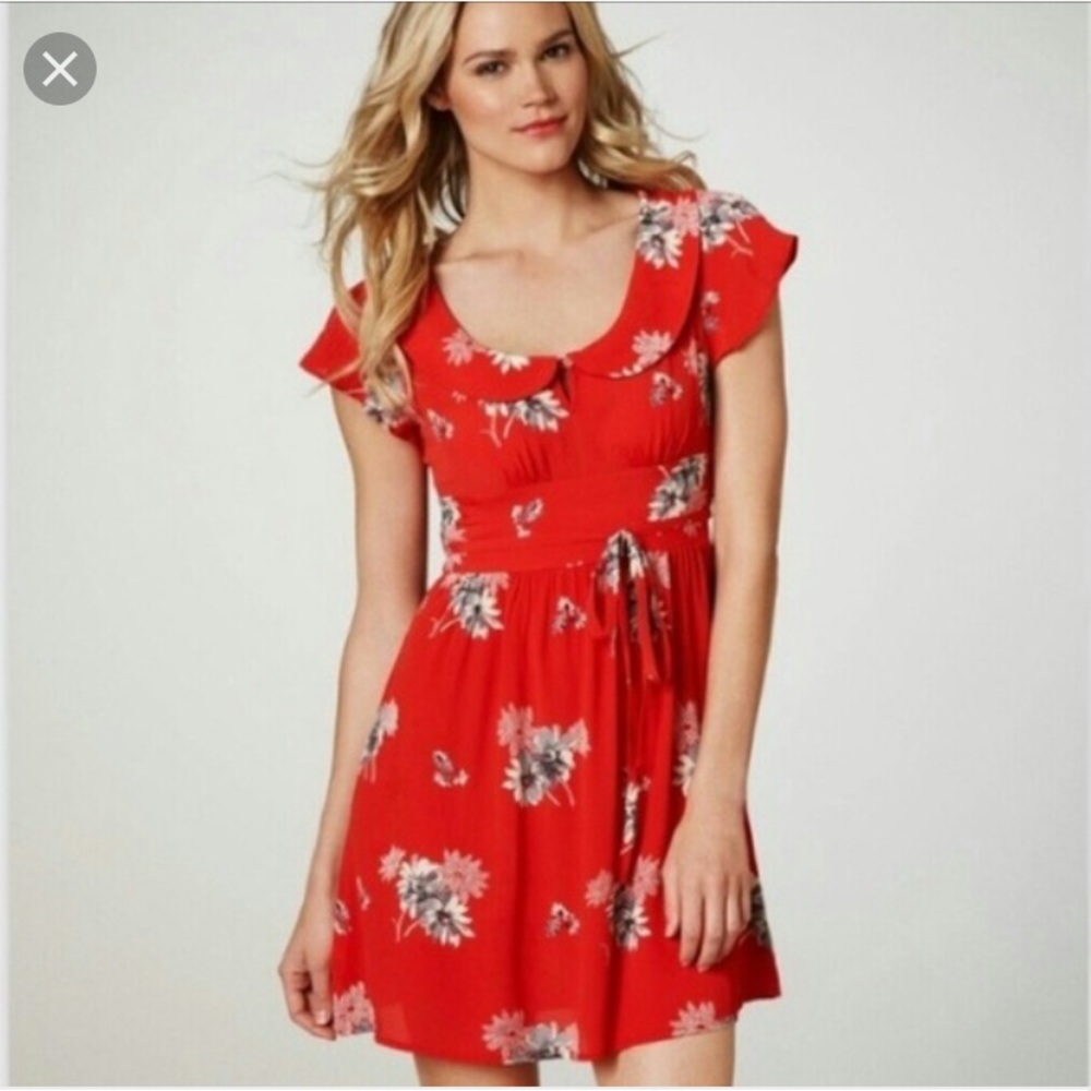 🔵 NWT American Eagle Outfitters Red Floral Dress