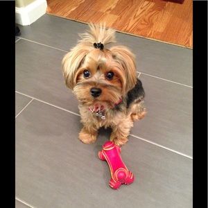 Meet your Posher, Lynn