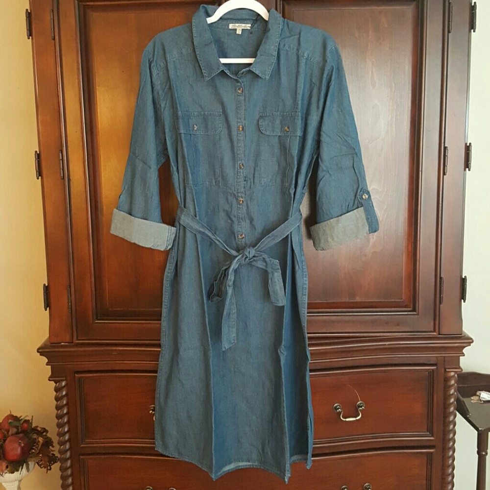 Plus Size Denim Dress