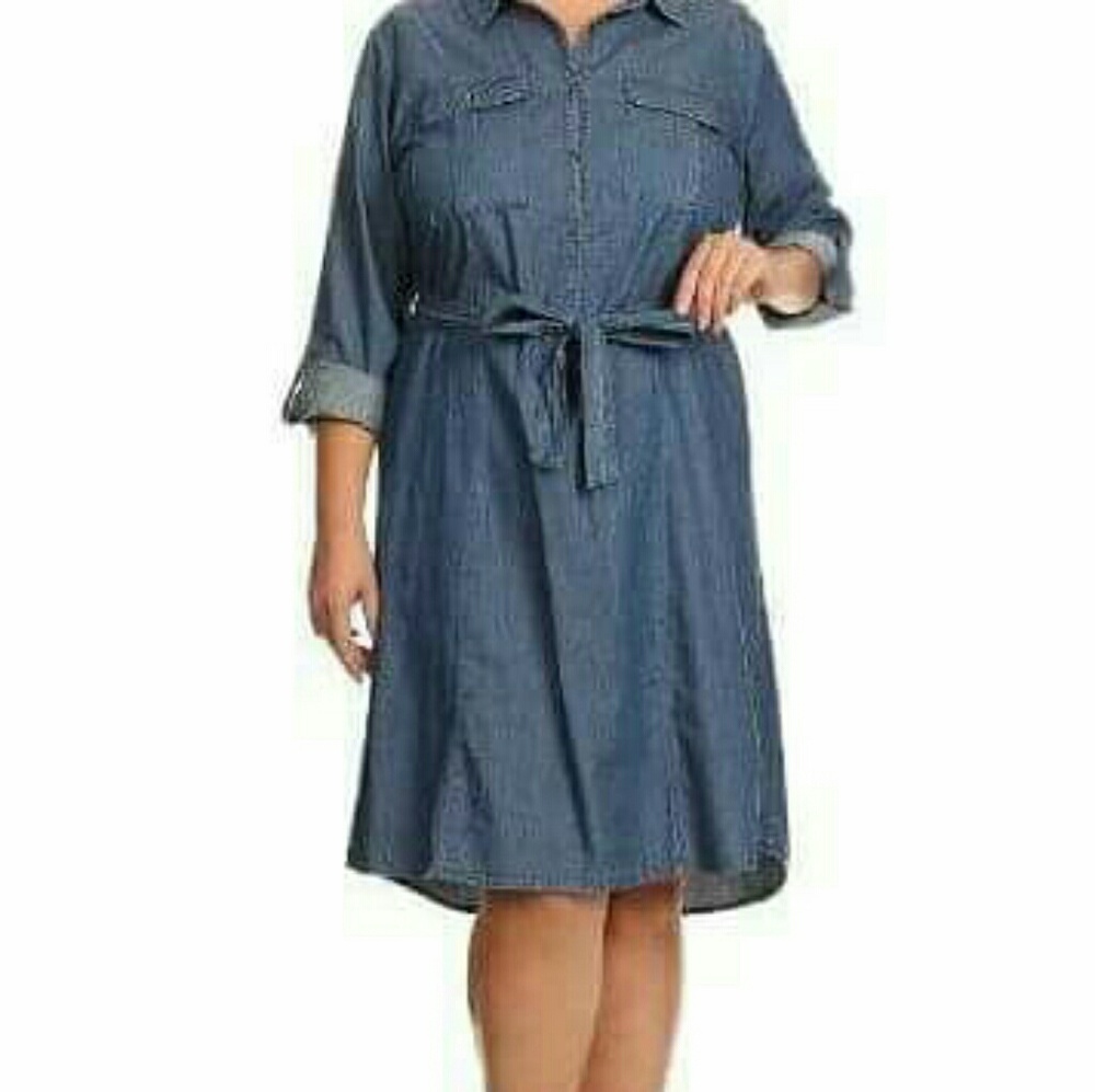 Plus Size Denim Dress