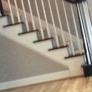 Meet your Posher, Judy