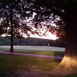 Meet your Posher, Deana