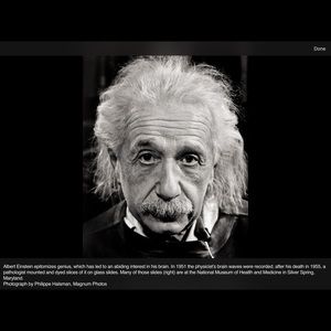 Meet your Posher, Michael