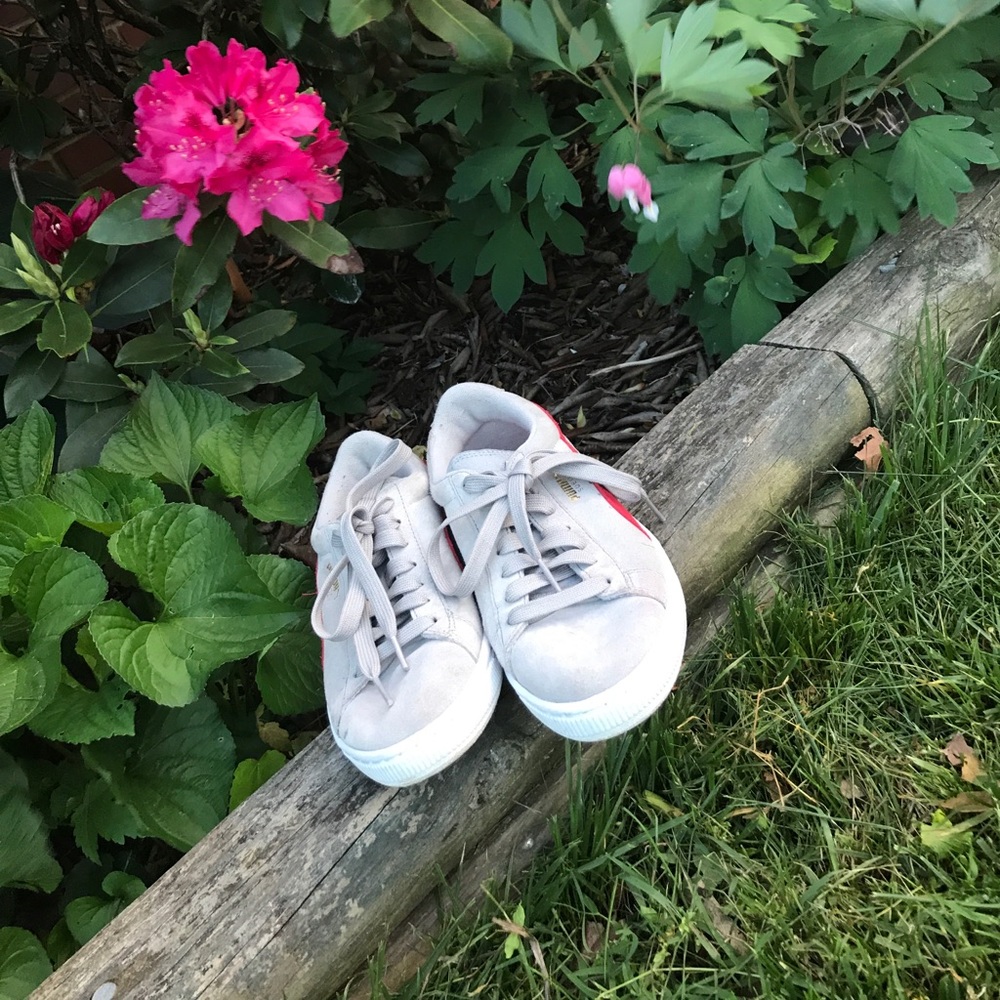 Sneakers
