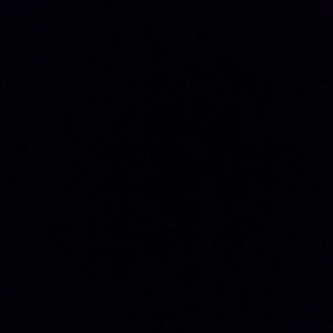 Meet your Posher, Cody