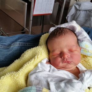 Meet your Posher, Dave