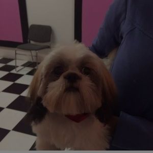 Meet your Posher, Kale