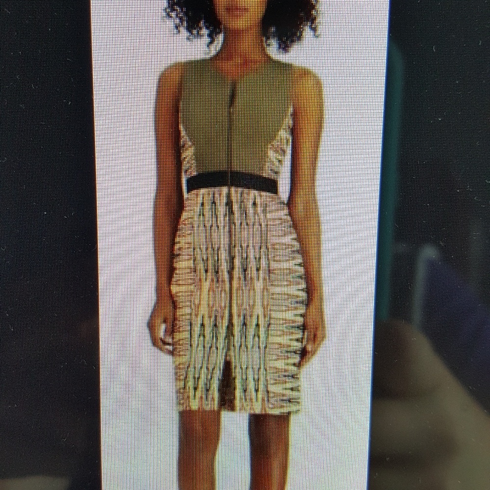 Rachel Roy dress