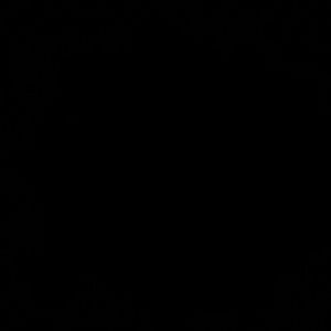 Meet your Posher, Jaleel