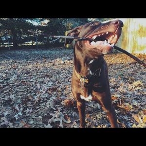 Meet your Posher, Luke