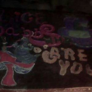 Meet your Posher, Brandy