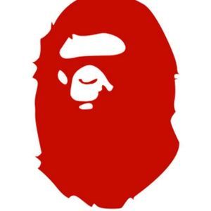 Meet your Posher, Samuel