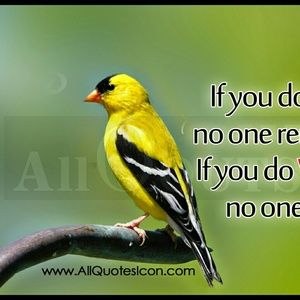 Meet your Posher, Chalwaji