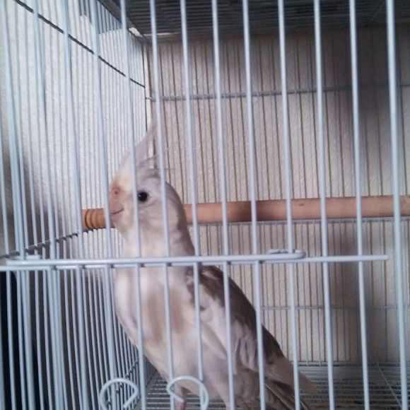 Meet your Posher, Danny - Picture 1 of 1