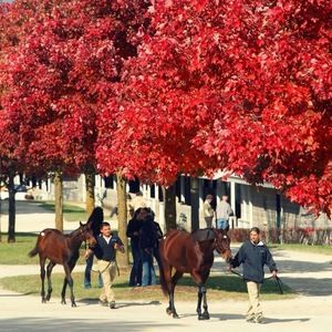 Meet your Posher, Shelly