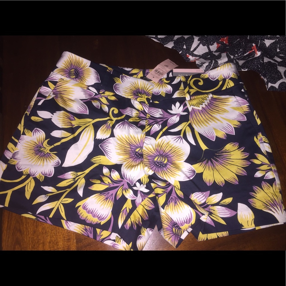 Woman's petite shorts