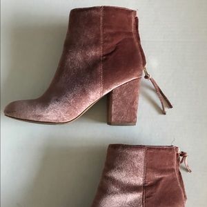 Steve Madden velvet booties! Worn once!