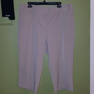Maurices Dress Capri Pants, New