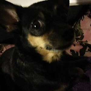 Meet your Posher, Catherine