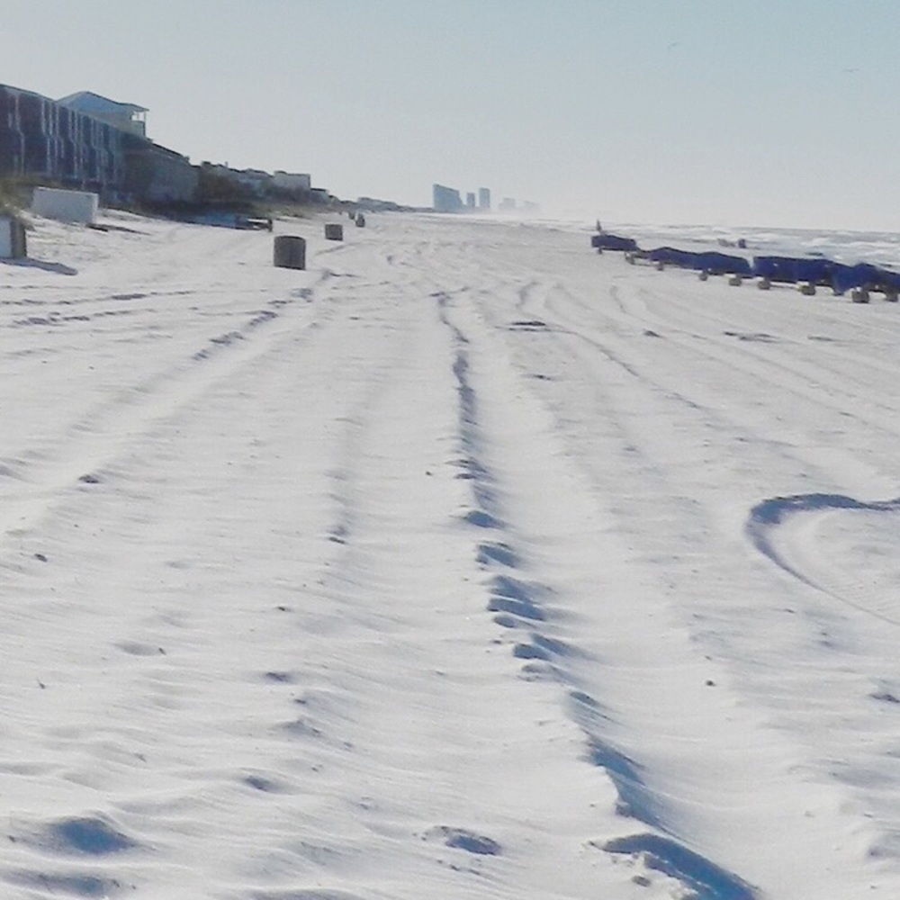 Meet your Posher, Sophia