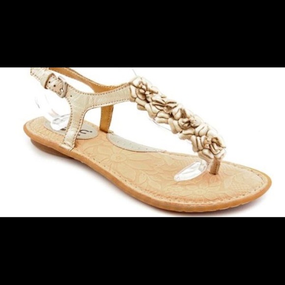 Born of concept flats - Picture 4 of 4