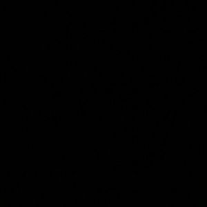 Meet your Posher, Teresa