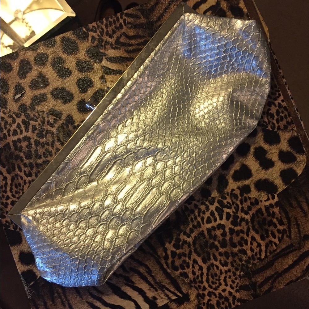 Silver snake skin clutch