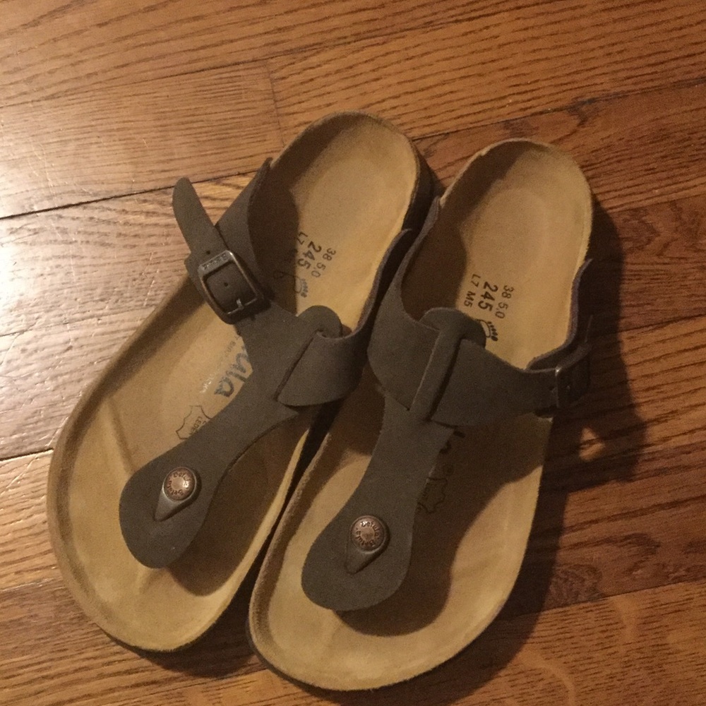 Betula birkenstock