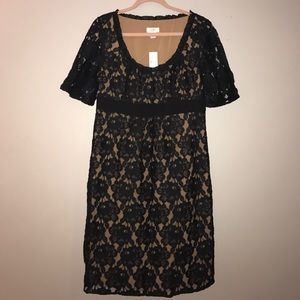 NWT Black / Tan dress from Ann Taylor Loft