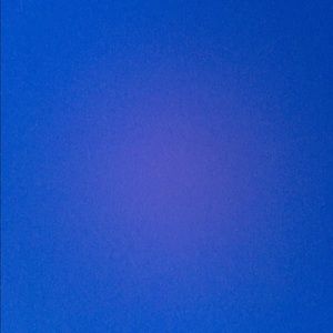 Meet your Posher, Max