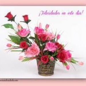 Meet your Posher, Rossi