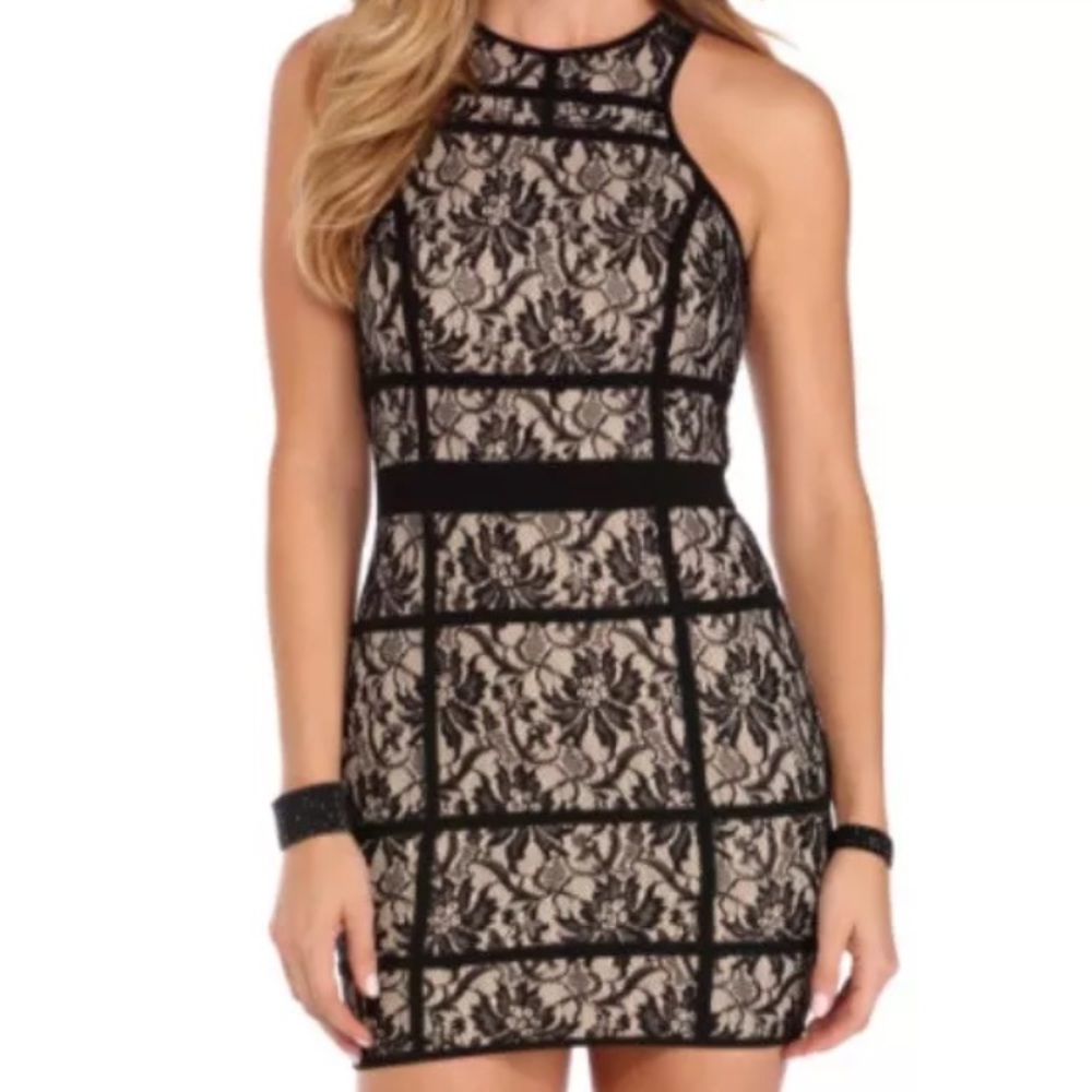 NWT Windsor Black Nude Lace Bodycon Dress sz Large
