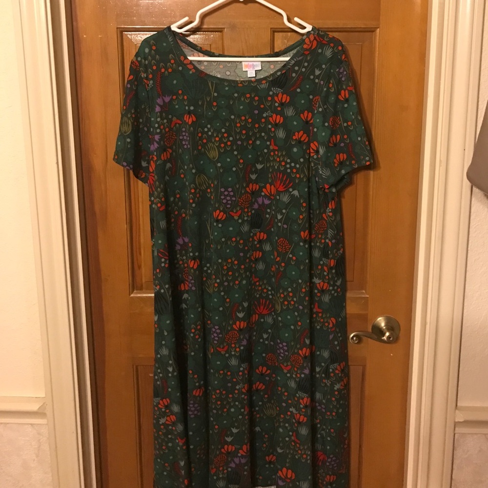 LuLaRoe Carly 2x!